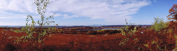 Acadia National Park