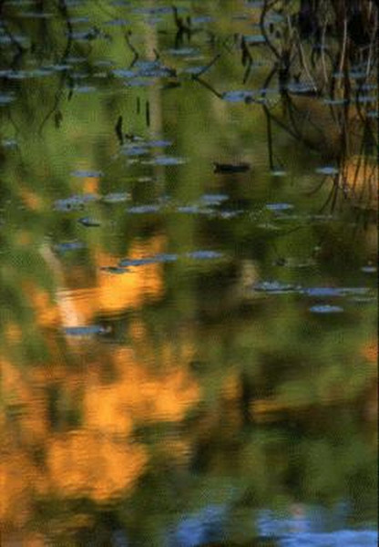 Acadia National Park