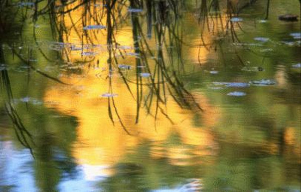 Acadia National Park