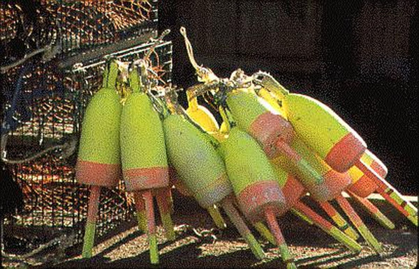 Acadia National Park