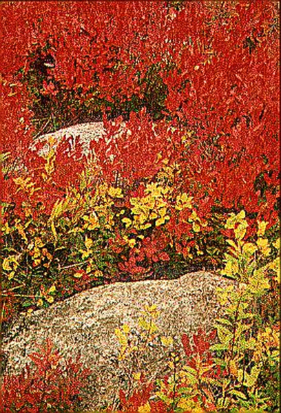 Acadia National Park