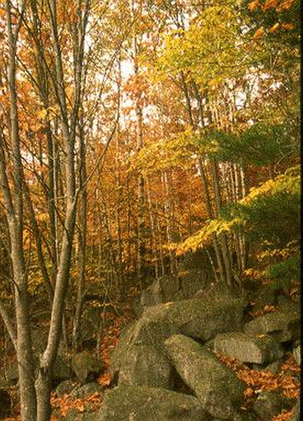 Acadia National Park