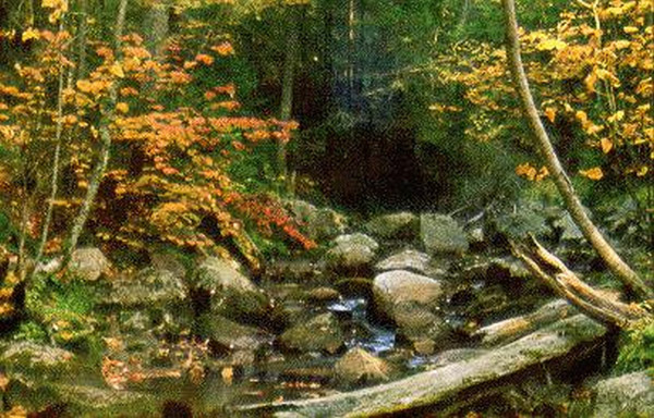 Acadia National Park