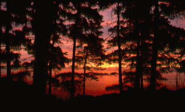 Acadia National Park