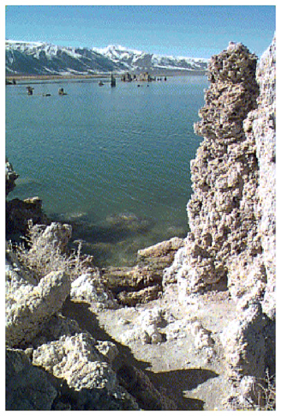 Detail of tuffa formation