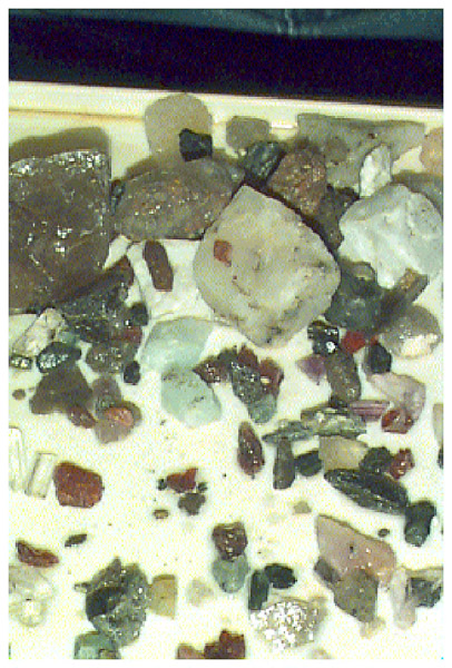 Gemstone panned at a local tourist attraction.