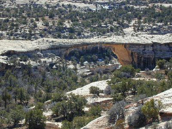 natural Bridges National Monument