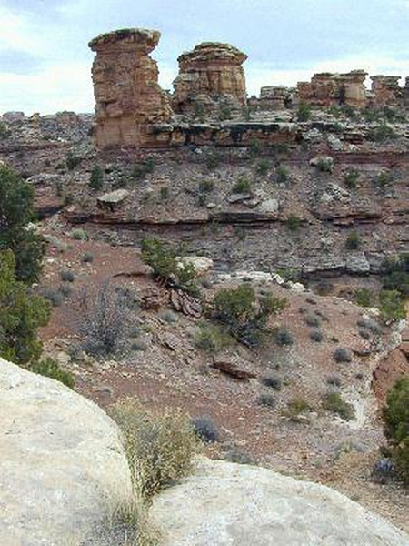 Island in the Sky district