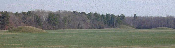 Pharr Mounds site complex