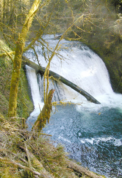 Silver Falls State Park, Oregon