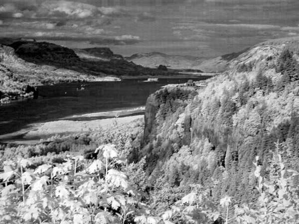 Historic Columbia River Highway
