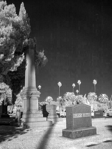 Hollywood Forever Cemetery
