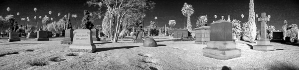 Hollywood Forever Cemetery