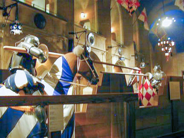 Higgins Armory Museum