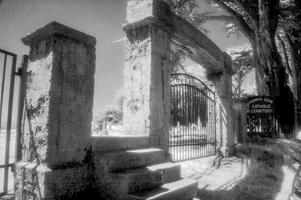 Cuffy's Cove cemetery