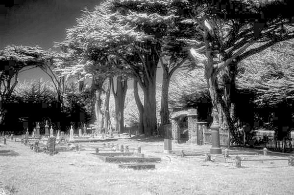 Cuffy's Cove cemetery