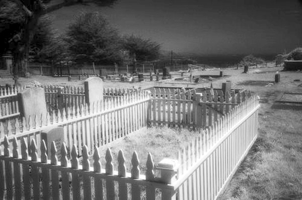 Cuffy's Cove cemetery