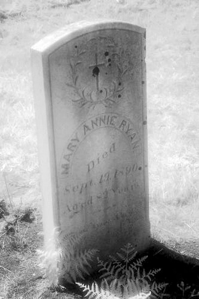 Cuffy's Cove cemetery