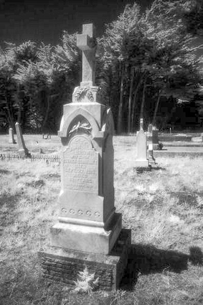 Cuffy's Cove cemetery