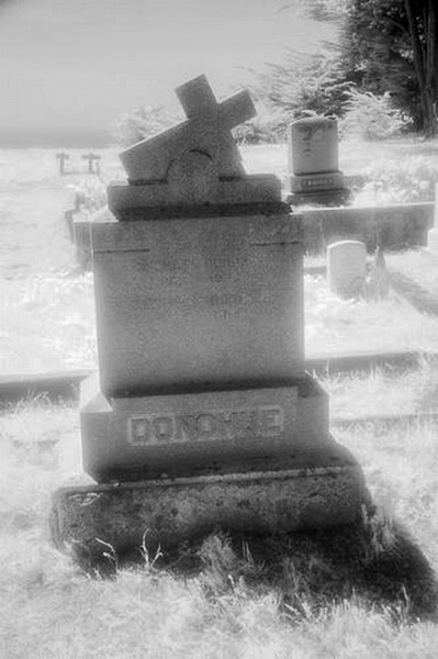 Cuffy's Cove cemetery