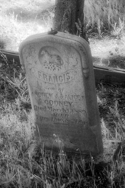 Cuffy's Cove cemetery