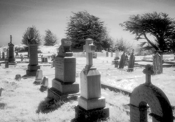 Cuffy's Cove cemetery