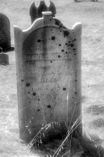 Cuffy's Cove cemetery