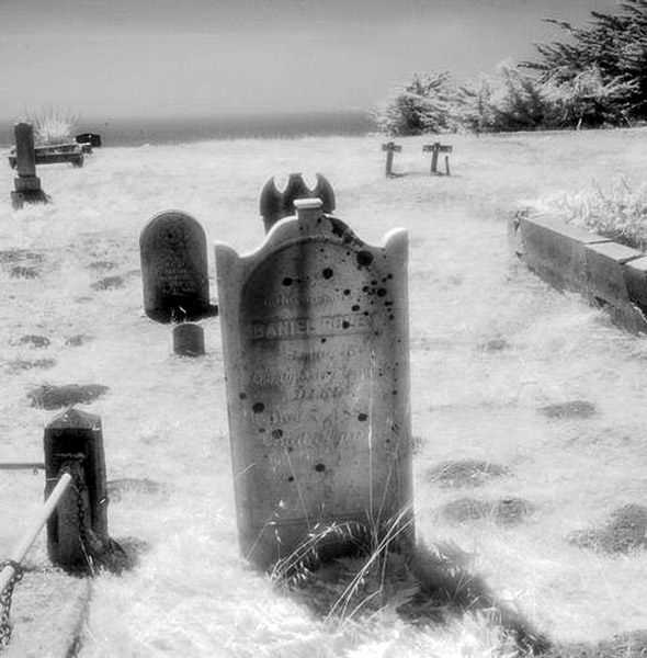 Cuffy's Cove cemetery