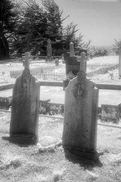 Cuffy's Cove cemetery