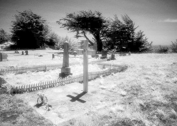 Cuffy's Cove cemetery