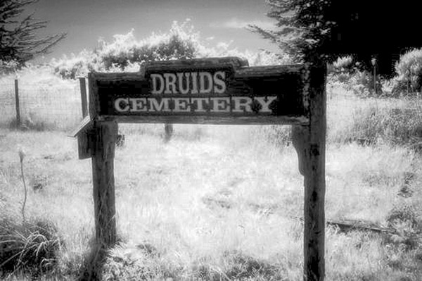 Cuffy's Cove cemetery