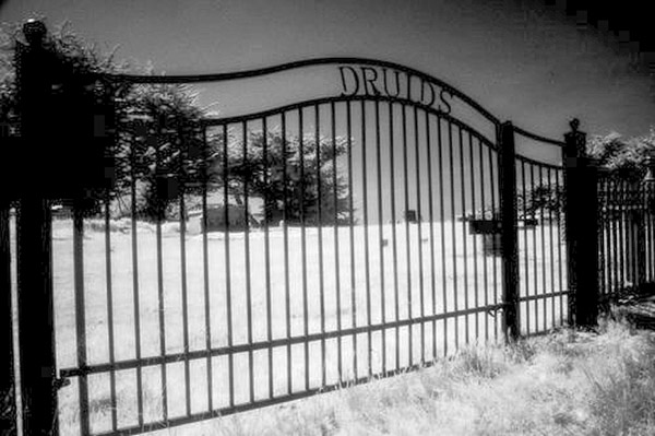 Cuffy's Cove cemetery