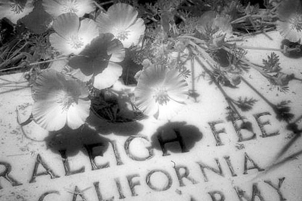 Westport Cemetery