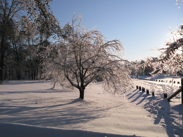 2009 snowstorm