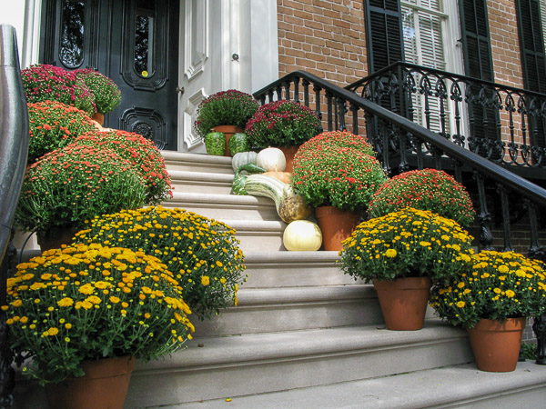 Savannah, Gerogia