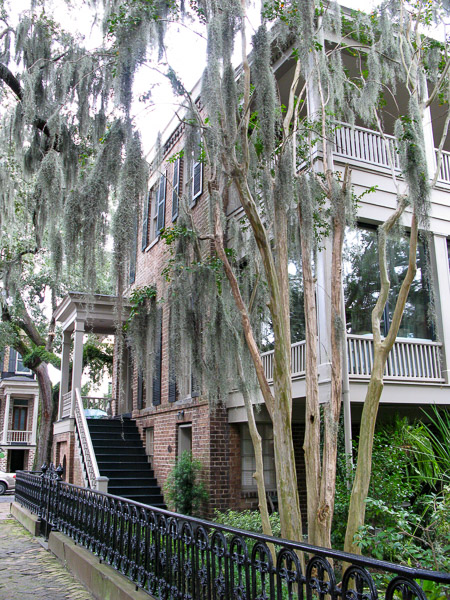 Savannah, Gerogia