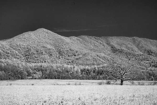 Cades Cove