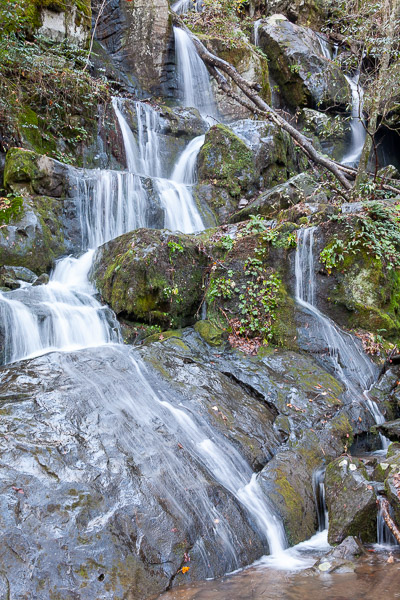 Roaring Fork Motor Nature Trail, Place of a Thousand Drips