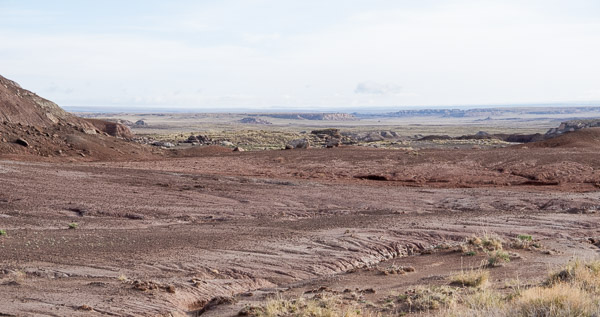 Retrified Forest National Park, Holbrook, AZ