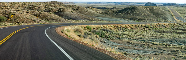 Retrified Forest National Park, Holbrook, AZ
