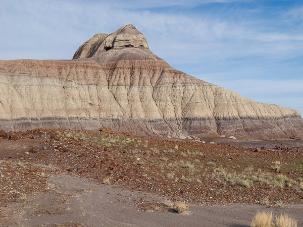 Retrified Forest National Park, Holbrook, AZ