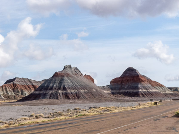Retrified Forest National Park, Holbrook, AZ