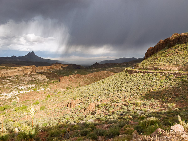 Between Kingman and Oatman Arizona