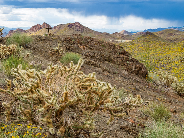 Between Kingman and Oatman Arizona