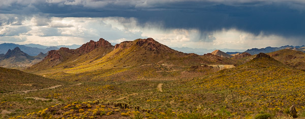 Between Kingman and Oatman Arizona