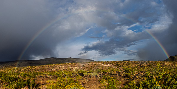 Heading west out of Oatman, AZ
