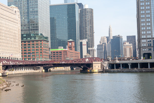 Architecture tour from the Chicago river