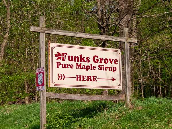 Furthest west maple sirup production in Shirley, IL