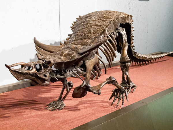 Mesalands Community College's Dinosaur Museum, Tucumcari, NM