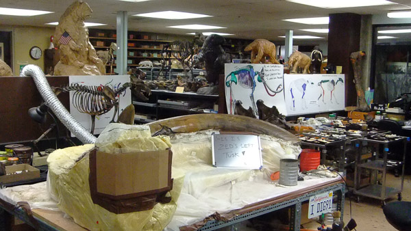 La Brea Tar Pits and Museum